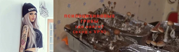 соль ск Абинск